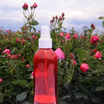 Bulk Yunnan old varieties Dian red rose pure Dew flower water is very fragrant no addition no stimulation edible two pieces