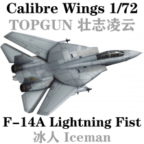 Calibre Wings TOPGUN TOPGUN F-14ALightning Fist Iceman Finished Model