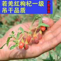 2021 New Red Chinese wolfberry first-class authentic Xinjiang Ruoqiang dry eat instant food-free alkali-free male kidney