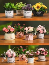 Net red mini green dormitory desktop small potted plants put in the bathroom suitable for ornaments book eye protection fake flower type imitation