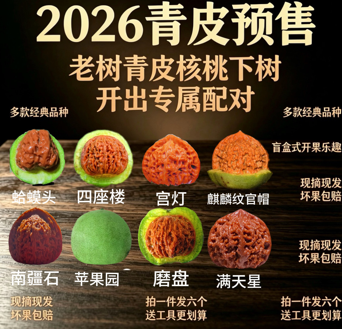 青皮麒麟纹核桃-青皮麒麟纹核桃促销价格、青皮麒麟纹核桃品牌- 淘宝