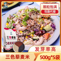 Three-color quinoa rice 5 catty black and white Red Plateau Non-ready-to-eat Qinghai Grade 5 cereals Coarse Cereals Coarse Grain Staple Food Rimai Meal