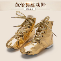 Adult jazz dance shoes men and women jazz boots gold modern dance shoes silver stage performance dance shoes acrobatic steel pipe