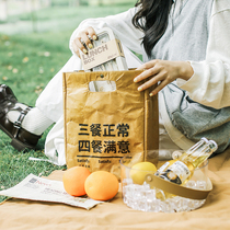 Dupont Paper Lunch Box Handbag Niche Fashion Lunch Bag Waterproof Aluminum Foil Insulation Bag Large Capacity Bring Meal Bag to Work
