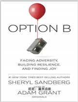 Option B E-book Light