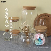 Wishing bottle lucky star lamp bottle transparent glass storage Nebula shell DIY desert wooden plug vase
