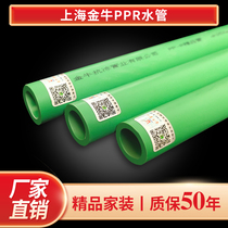 Shanghai Golden Bull Ppr Water Pipes 4 points 20 LOADED HOT AND COLD TUBES 6 POINTS 25 HOT MELT 1 INCH 32 TAP WATER PIPE SUB ACCESSORIES