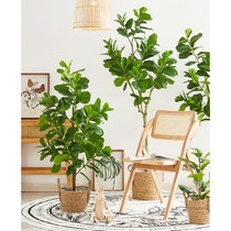 Qin Yerong simulation green plant potted ornament bionic fake green plant bonsai decoration living room indoor simulation plant landscaping