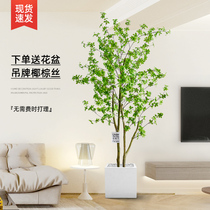 Hanging bell tree simulation green plant light luxury living room large decorative ornaments indoor potted fake plant horse drunk wood simulation flower