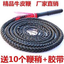 Bull Leather Whip to whip fitness whipped and whipped whipped and whipped whipped and whipped whipped and whipped.