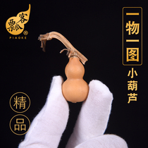 The ladle guest boutique natural hand twist small gourd grass in the Golden text play handlebar special gourd a picture fine selection