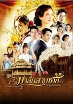DVD machine version Thailand Playa Lady] Mandarin Chinese character all 42 episodes 2 discs