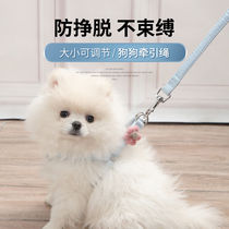 Dog teddy small dog vest style walking dog puppy dog summer traction rope Bears dog ropes Pet Dog Chains