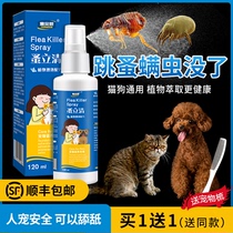 Pet dog flea deworms insecticide cat dog spray mite removal flea lice removal flea spray home cat