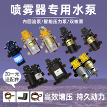 Sprayer electric agricultural hand-held sprayer mist machine car washing machine pump high pressure diaphragm pump machine