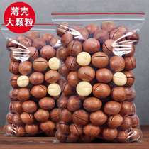 Creamy Hawaiian nut bag 500g opener nut snacks bulk 1kg of large particles New