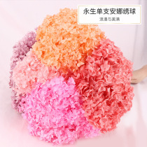 Cloud-like hydrangea bouquet Long branch dried flowers Immortalized flowers Home soft decorations Art flower arrangement shooting props