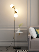 Floor lamp living room sofa side bedroom bedside Nordic ins Wind minimalist light luxury fishing lamp coffee table vertical table lamp