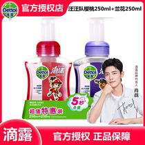 Drip Wang Wang team foam hand sanitizer Cherry 250ml orchid 250ml combination for antibacterial cleaning children