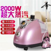 Ironing machine double pole with plate hanging bronzing machine Home small steam double pole High power electric iron hot clothes high power