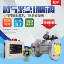 Commercial gas automatic emergency shut-off solenoid valve Industrial explosion-proof natural gas gas pipeline alarm controller