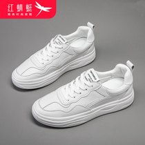 Red Dragonfly leather small white shoes women 2021 new spring and autumn shoes Joker explosive autumn womens shoes casual board shoes