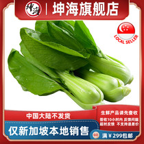 (YummyHunter-Small greens)Fresh vegetables greens about 250g Singapore local delivery