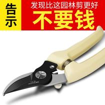 Picking fruit artifact garden art scissors pruning shears tree branches cutting flowers branches picking persimmons pruning shears tree branch shears