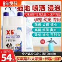 X5 disinfectant pet special cat plague canine distemper fine dog cat deodorant cat deodorant urine home environment spray