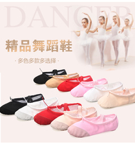 New dance men and women soft bottom practice shoes art test yoga gymnastics Latin dance Cat Claw leather canvas head dancing shoes