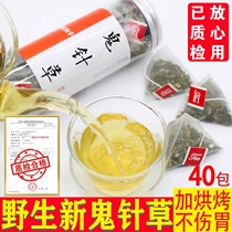 2 send 1 plus baking triangular bag Biden tea natural Chinese herbal medicine Bidensis 40 packs 21 new drop grass pressure scattered 500