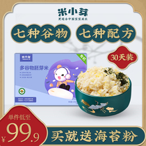 Rice sprouts Organic multi-grain millet germ rice porridge Baby childrens nutrition Rice porridge rice monthly 35g*30