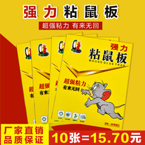 The sticky mouse board is powerful the mouse paste the mouse the mouse glue the Real Fit a nest