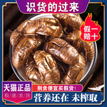 Chinese medicinal materials cicadas known skin 100g cicada shell worms worms and worms retreated monkey shells Golden Cicadas
