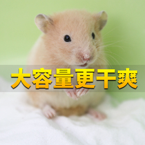 Hamster bathing sand Totoro golden bear bath sand small hamster bath bath bath salt bath sand sterilization deodorant products
