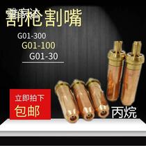Gas cutting nozzle national standard G01-30 100300 ring acetylene liquefied gas propane cutting nozzle No. 1 2 3 gas