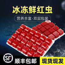 Red worm frozen fish eating beef heart burger Daphnia chaff chaff shrimp green algae rich shrimp small Luohan colorful young fish food feed