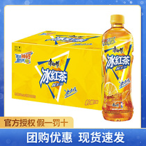 Master Kong ice tea 500ml*15 bottles full box classic taste summer thirst quenching tea drink