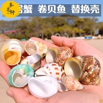 Hermit Crab Shell Replacement Shell Three Lake Cichlid Fish Roll Fish Special Snail Shell Fish Tank Decoration Landscape
