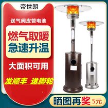 Di Shilang outdoor gas heater household umbrella liquefied gas heater energy-saving gas natural gas stove