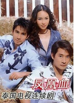 DVD version Thailand Phoenix Blood]Mandarin Hillsong full 20 episodes 2 discs