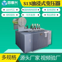 S13-M-100KVA oil-immersed power transformer high-voltage three-phase S11 on-load voltage regulating S9-160KVA oil transformer