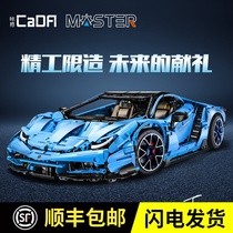 Double Eagle Lamborghini sports car model building blocks for adult difficult boys Lego assembly toys