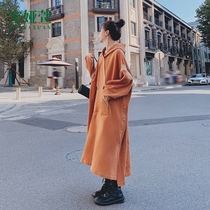 Pregnant women suit autumn winter coat Spring and Autumn long sweater skirt casual loose hooded dress fashion autumn dress