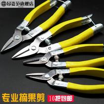Round forest scissors Fruit tree pruning scissors flower cutting Orchard Orchard citrus small fruit cutting grapes