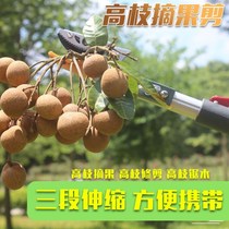Special scissors for fruit picking high-branch shears fruit tree branch shears high-altitude extension telescopic artifact loquat Toona shears