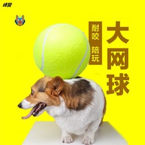 Dog Toy Ball Ten Times Happy Ball Super Tennis 24cm Inflatable Pet Toy Ball Keji Fa Fighting Bai Dog