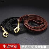 Medium and large dog dog leash with golden madic collar walking dog rope horse dog dog rope