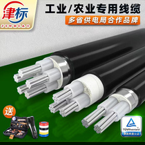 National standard aluminum core cable 3 core 16 25 35 50 70 95 120 square aluminum wire wire aluminum cable outdoor