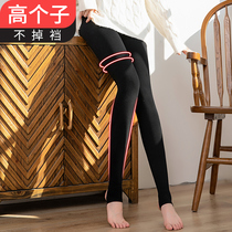 Lengthened non-stop black beating underpants female outside wearing spring autumn and winter garnter thickened with high subtread pantyhose slim